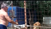 Ce au descoperit autoritățile în curtea unui bărbat din Dâmbovița. Cerea și taxă de vizitare