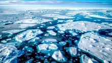 VIAȚA a existat în Oceanul Arctic chiar și în erele GLACIARE!