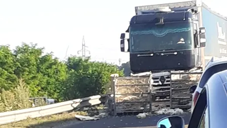 Măcel! Un TIR s-a ciocnit cu o autoutilitară care transporta cuști cu găini - FOTO