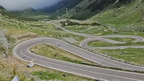 Video – O ursoaică a smuls bara unei mașini pe Transfăgărășan. Traficul a fost blocat de turiștii care voiau să vadă urșii