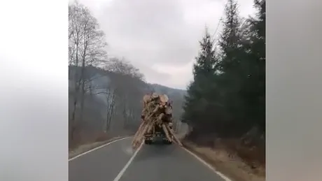 Final Destination - Transport de lemne care putea provoca o tragedie. VIDEO