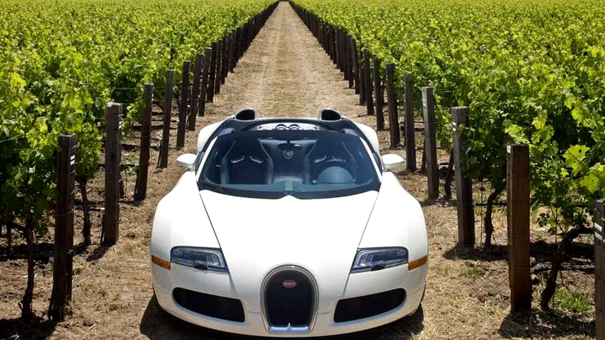 Bugatti Veyron Grand Sport - poze noi