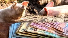 Cât costă carnea de PORC în noiembrie 2025. Ce sume vor scoate din buzunar românii de Crăciun