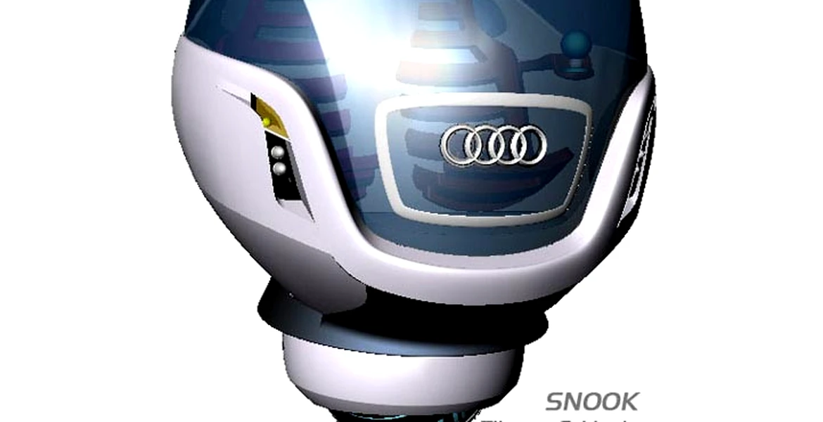 Audi Snook
