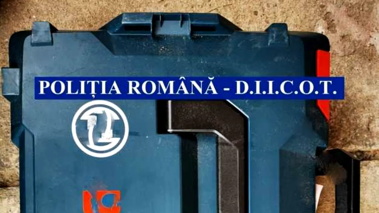 Poza 1