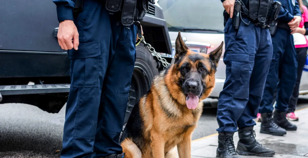 Zeci de cetățeni străini, ascunși într-un TIR, au fost depistați la vama Nădlac