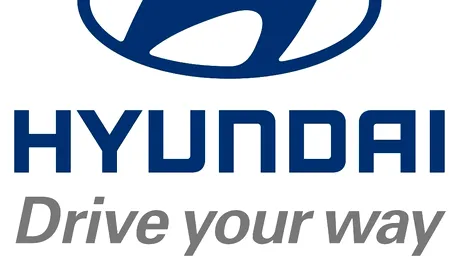 Hyundai Motor Group va licita pentru Hyundai Engineering