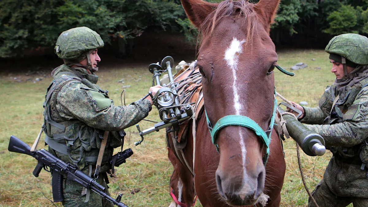 Cavalerie reală în loc de tancuri: Rusia prezintă „drona ecvestră” - un cal cu terminal Starlink. Invenția luptă alături de tancul „păpădie”