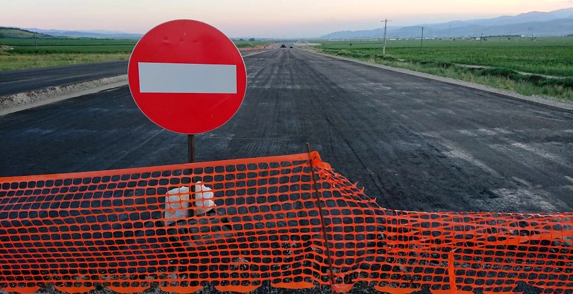 Gândacul care a suspendat finanţarea Autostrăzii Sibiu-Piteşti. Se află pe lista speciilor ameninţate