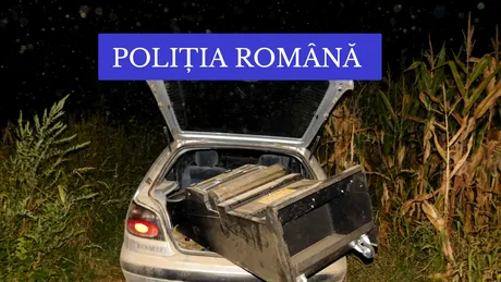 După ce a jucat la păcănele, un gorjean a furat aparatul, l-a băgat în mașină și l-a transportat pe câmp - FOTO
