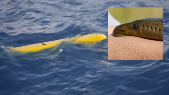 Video / Americanii au dezvăluit drona subacvatică inspirată de „peștele vampir” care își urmărește ținta înainte de atac