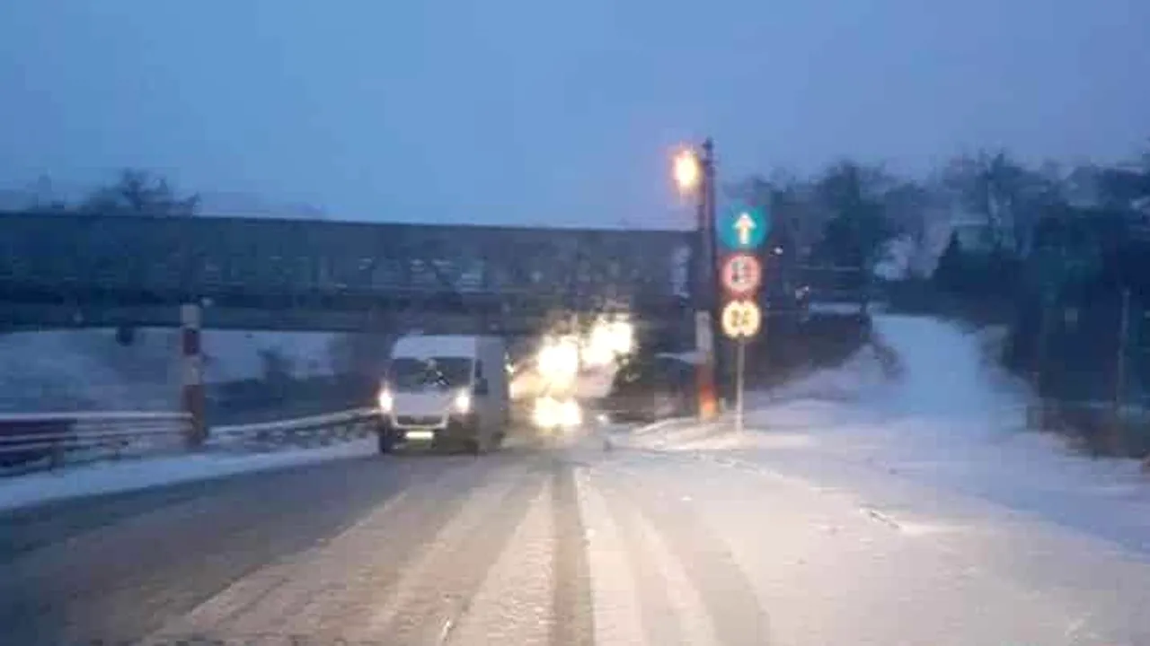viitorului 