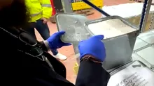 Ce a putut găsi Piedone într-o cutie în care trebuia să fie brânză. Șeful ANPC a închis imediat locația