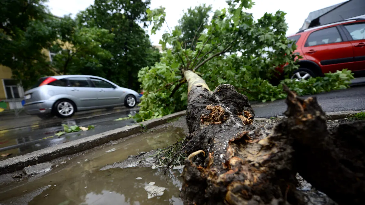 Mașină avariată de pomi, acoperiș sau indicatoare rutiere smulse de furtună: cine plătește? Cum obții despăgubiri în 2026