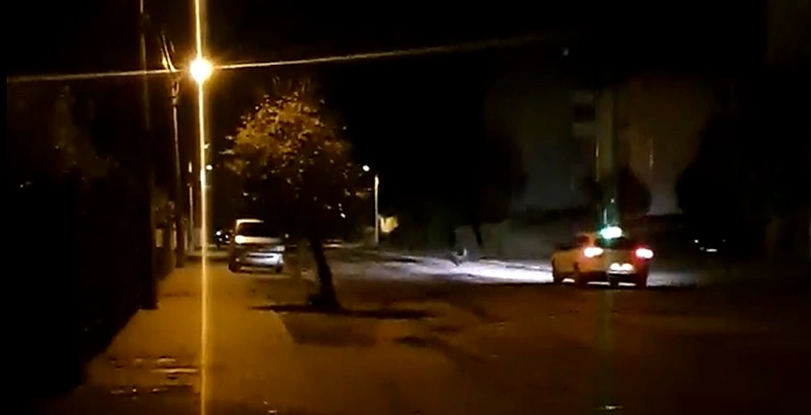 Un urs este alergat cu maşina pe străzile din Făgăraş – VIDEO