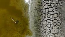 Europa se USUCĂ. România pierde peste un milion de hectare