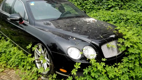 Bentley Continental GT şi Bentley Flying Spur după care plângi. Cum arată un cimitir de maşini de lux FOTO