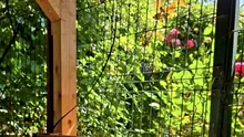 Românii care care construiesc fără autorizație în propria curte riscă AMENZI uriașe. Pot fi garaje, șoproane, grajduri, toalete sau alte anexe