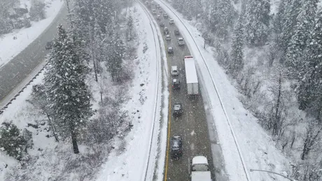 Video | Peste 100 de mașini se izbesc, una de alta, într-unul dintre cele mai mari accidente din SUA