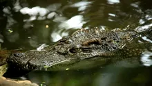 O fotografie AI a băgat un bărbat în bucluc! Risca să ajungă 10 ani după gratii