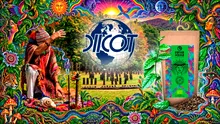 Cum i-a scos DIICOT din transă pe șamanii din Hunedoara. Le promiteau clienților senzații tari cu ayahuasca, dar și intervenție medicală rapidă, în caz de complicații