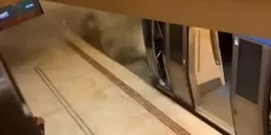Care sunt urmările furtunilor de aseară din București? Incendiu la metrou și întârzieri pe calea ferată 