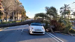 Furtună violentă în Spania: mașini strivite și drumuri blocate după rafale de 170 km/h