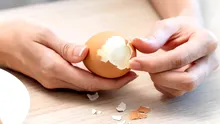 Mai pot fi mâncate ouăle, dacă au trecut 7 zile de când au fost fierte? Expertiza specialiștilor în siguranță alimentară