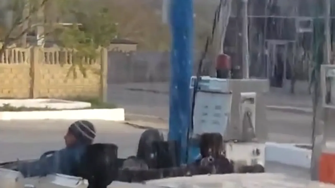 Poza 1