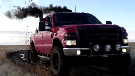 Ecologiştii – ţinte ambulante pentru atacuri cu fum de diesel. VIDEO