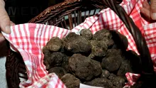 'Aurul negru' din România ajunge în cele mai exclusiviste restaurante din lume