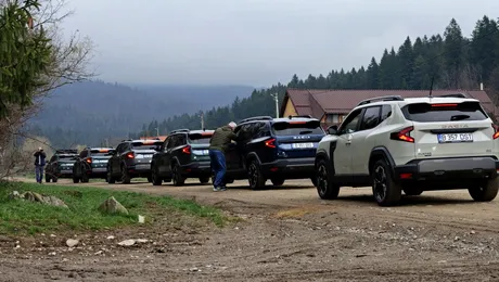 Liderul pieței auto din România rămâne același, dar înmatriculările scad cu 13,3%. Topul mărcilor auto: Dacia conduce, Chery intră puternic