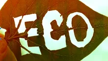 Etichetele ECO pe mâncare: PĂCĂLEALĂ sau adevăr?