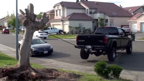 SUA ne învaţă: cum să scoţi un copac din ţâţâni cu un pick-up