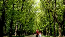 METEO | Cum va fi vremea în următoarele patru săptămâni. Prognoza emisă de ANM