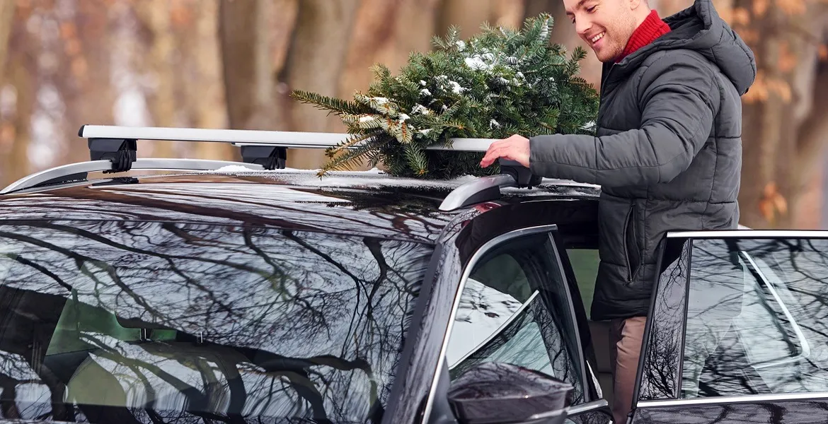 TOP 5 decorațiuni auto care te lasă fără talon. Coarnele de ren și crengile de brad, printre ele