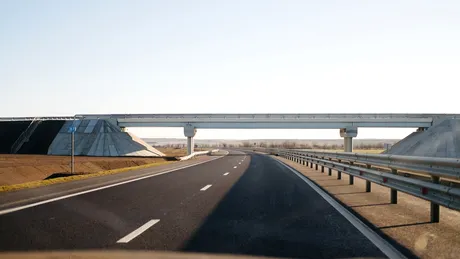 Vignete digitale vs. fizice: pe care să le alegi? (P)