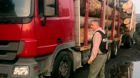 Un primar din Argeș a fost prins la volanul unui camion cu lemne furate