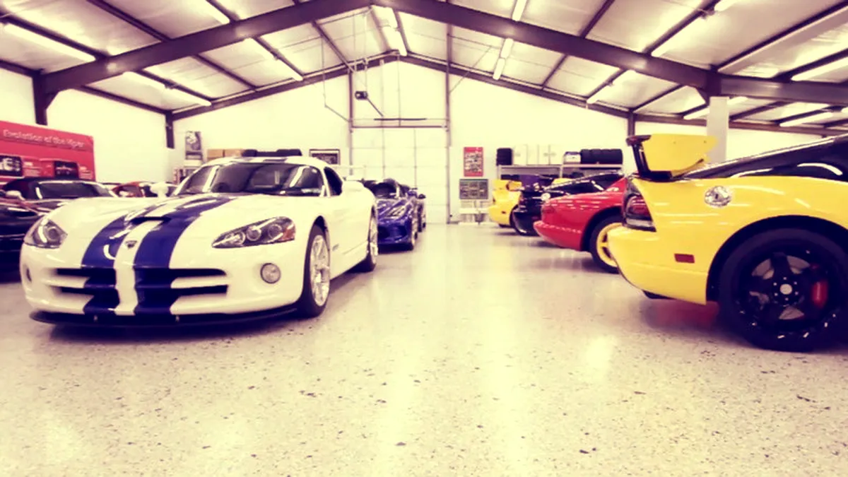 VIDEO: Familia care deţine „cuibul de vipere”