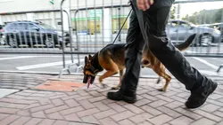 Poliția de Frontieră cumpără trei autospeciale pentru transportul câinilor de serviciu