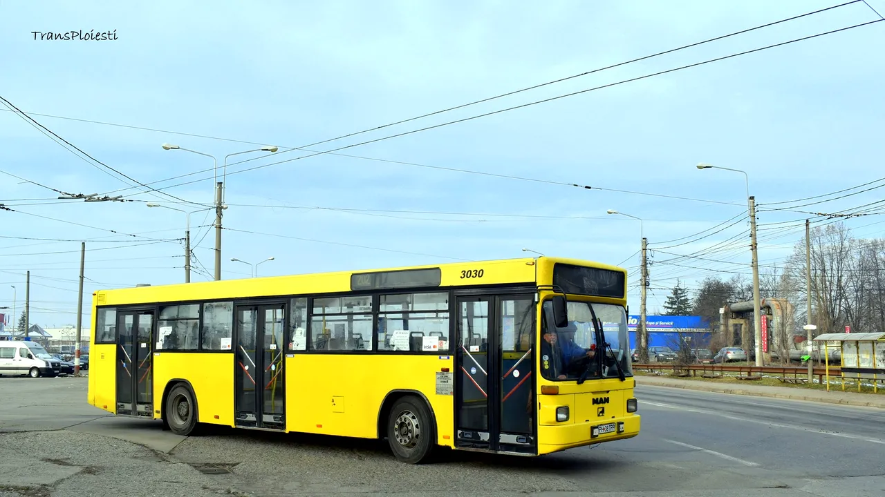 Poza 1