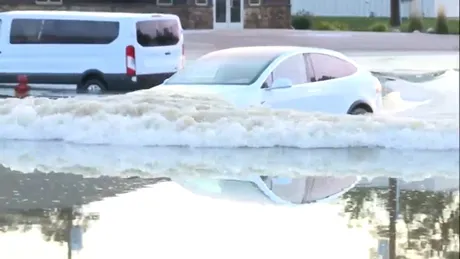 Nu încercaţi asta acasă: O Tesla Model X trece prin apă ca un off-roader autentic - VIDEO