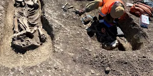 Rămășițele unui călăreț și ale calului său, descoperite pe șantierul Centurii Timișoara Vest