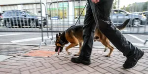 Poliția de Frontieră cumpără trei autospeciale pentru transportul câinilor de serviciu