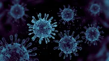 Oamenii de știință au descoperit un virus gigantic care se reproduce într-un mod complet unic