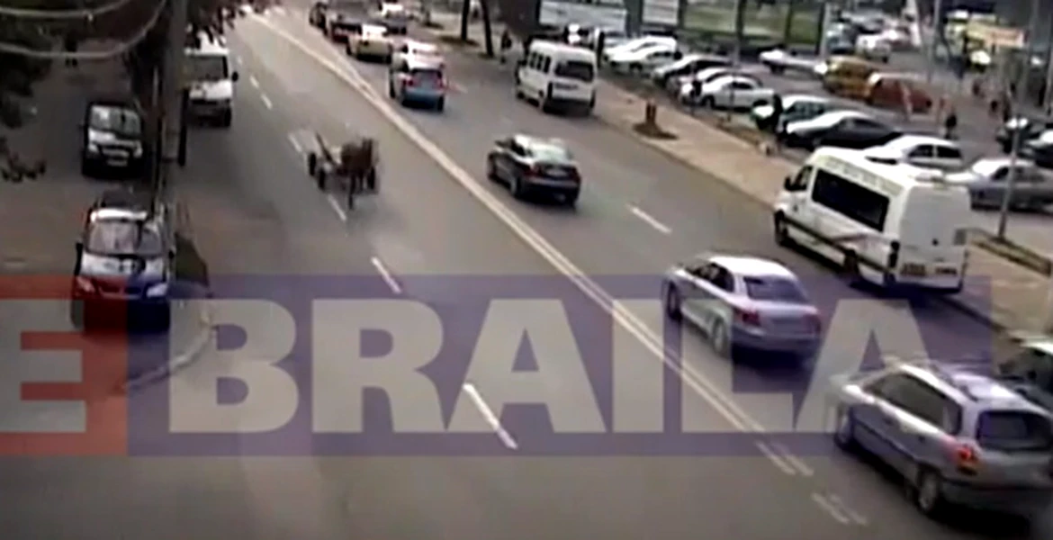 VIDEO – Scene incredibile în Brăila. O căruţă fără „şofer” goneşte prin oraş