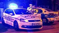 Permisul auto, suspendat dacă nu plătești amenzile. Sancțiunile rutiere nu se vor mai plăti la jumătate din minim