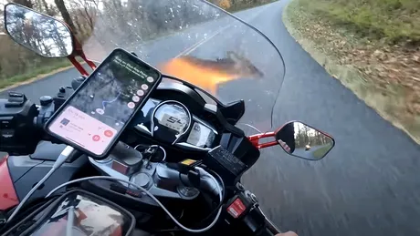 Momentul în care o motocicletă lovește în plin o căprioară. Impactul a avut loc la aproape 90 de km/h - VIDEO