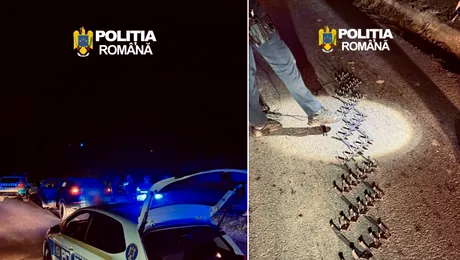 Foto – Polițiștii au folosit un spike-strip pentru oprirea unui șofer care a refuzat controlul