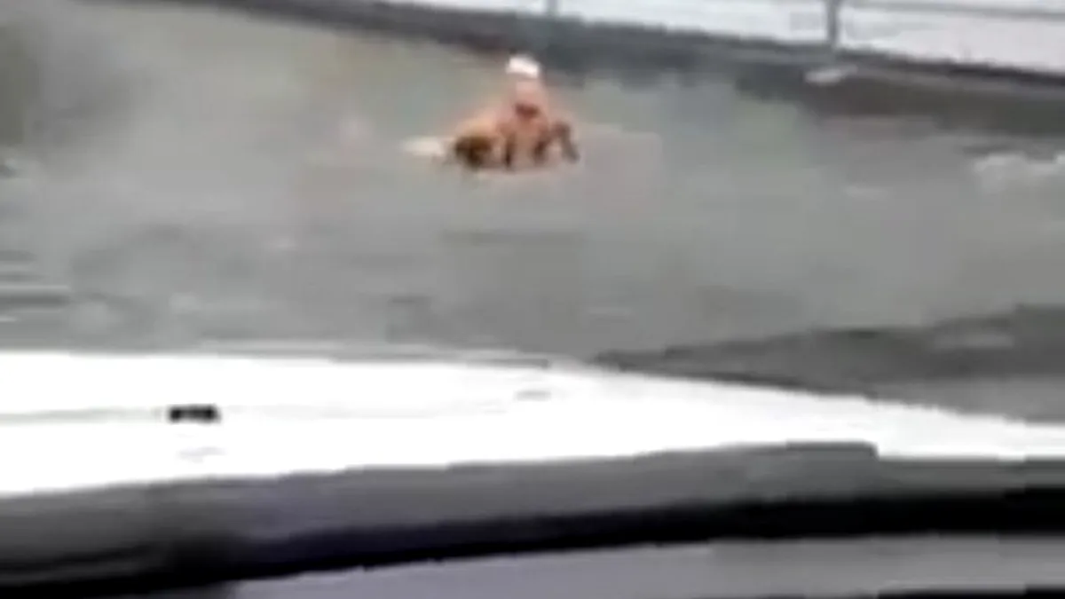 Video viral: un bărbat înoată în apa adunată pe Calea Văcărești în urma ploilor de vineri